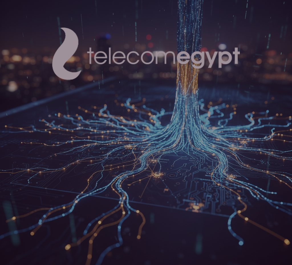 Fiber Infrastructure for Secure Enterprise Connectivity Powered by Telecom Egypt